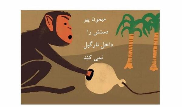 عکس میمون پیر