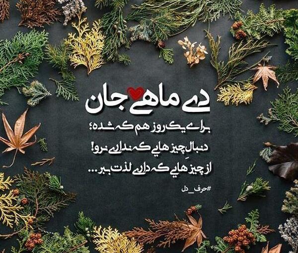 عکس زمستان دی ماه