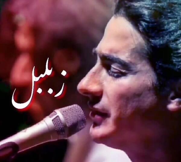 عکس کلیپ استوری پاییز آمد در میان درختان
