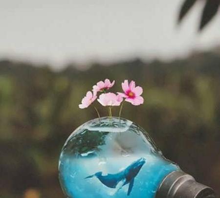 عکس شیک زیبا دخترانه
