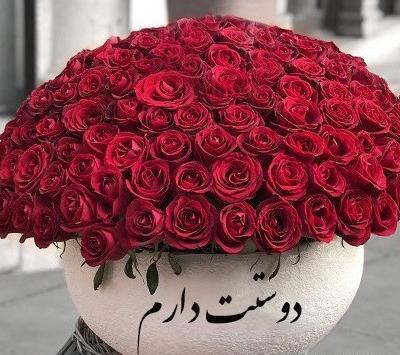 عکس گل عشق طبیعی