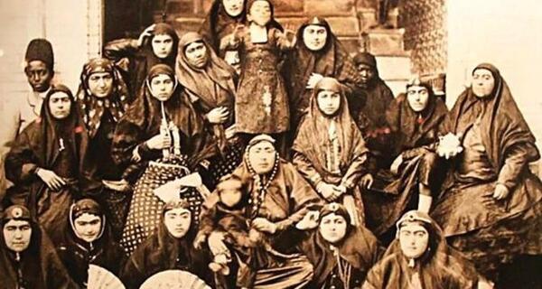 عکس روباه ایرانی در گرجستان