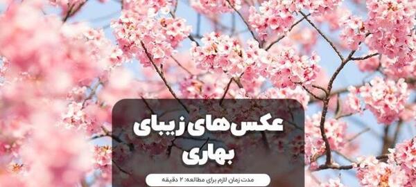 عکس پروفایل بهار نزدیکه