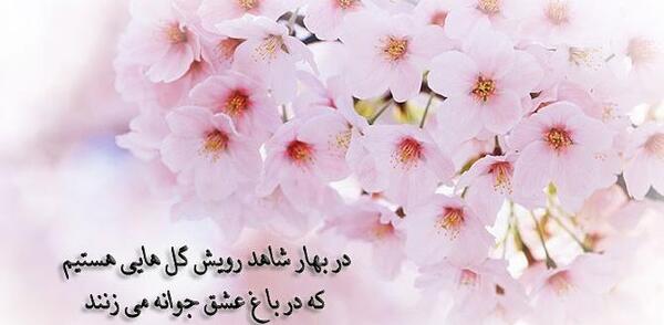عکس پروفایل بهار نزدیکه