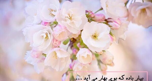 عکس پروفایل بهار نزدیکه