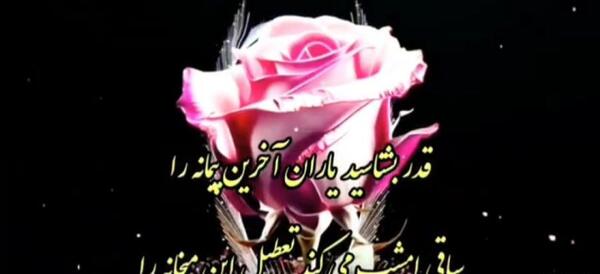 عکس عید تبریکی قربان