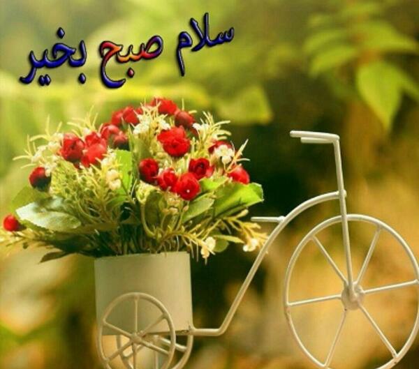 عکسهای جالب صبح بخیر
