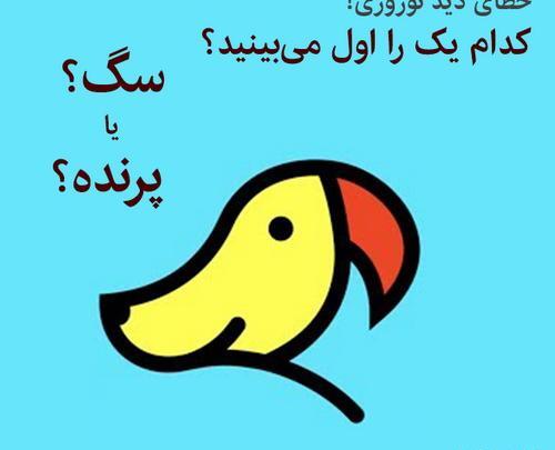 عکس تصاویر خطای دید برای کودکان