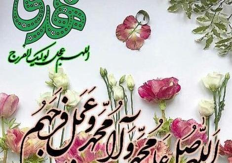 عکس گل نرگس با صلوات