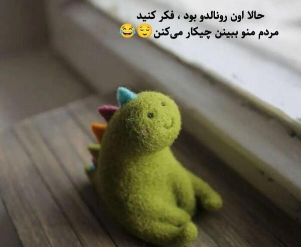 عکس نوشته ی طنز لیدی باگ