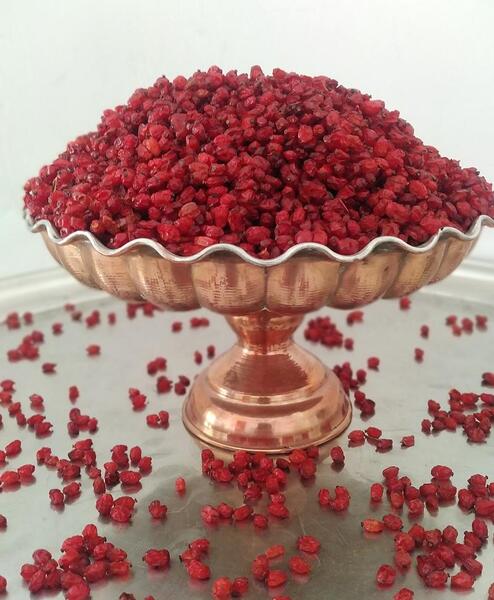 عکس زرشک قرمز