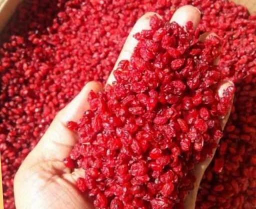 عکس زرشک قرمز