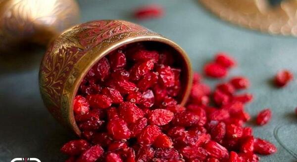 عکس زرشک قرمز
