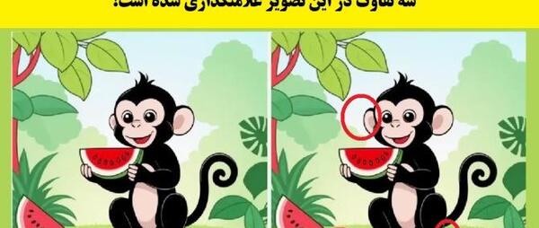 عکس میمون فانتزی و کارتونی