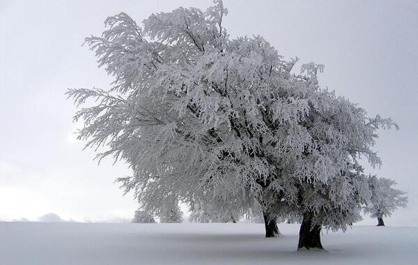 عکس جاده ی پاییزی