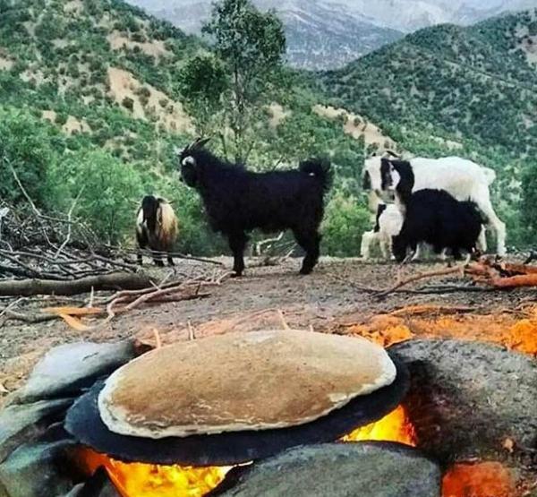 عکس از طبیعت لرستان