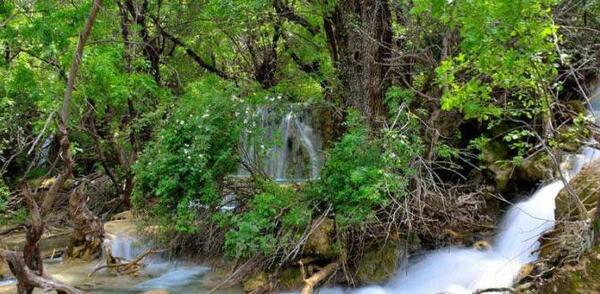 عکس از طبیعت لرستان