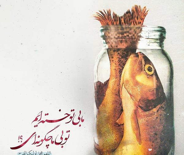 عکس های نیمه شعبان جدید