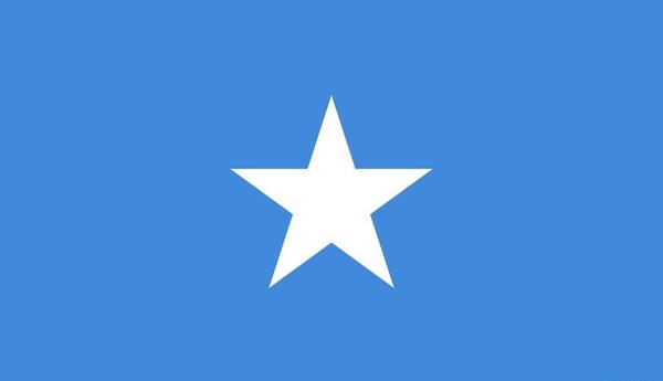 عکس ستاره پرچمی
