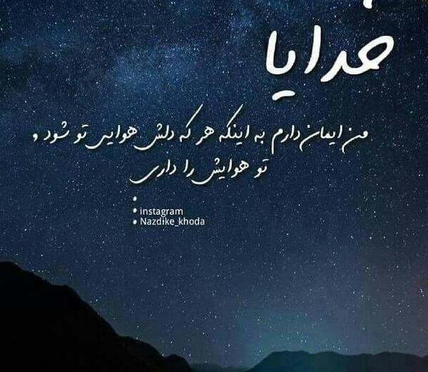 عکس ماشین سگ وحشی