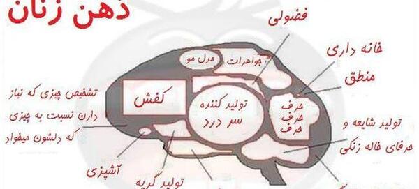 عکس جالب زیست