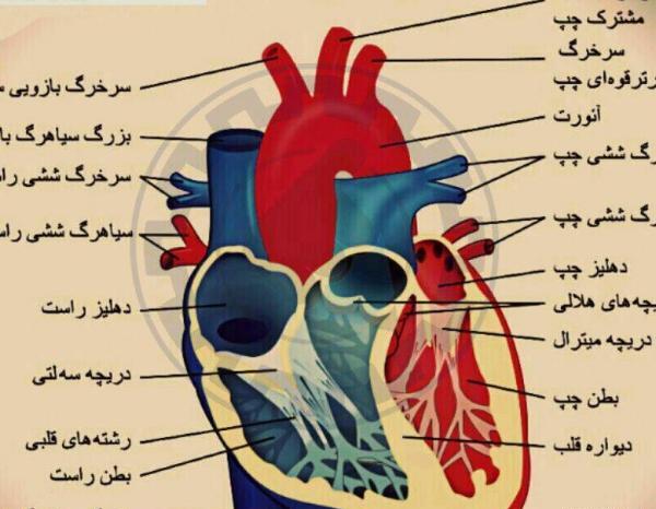 عکس جالب زیست