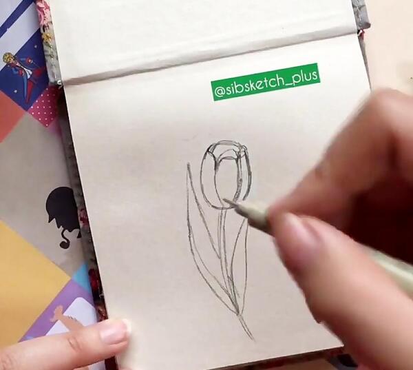 عکس نقاشی گل لاله با مداد سیاه