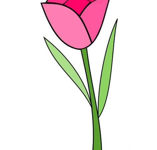 عکس نقاشی گل لاله با مداد سیاه