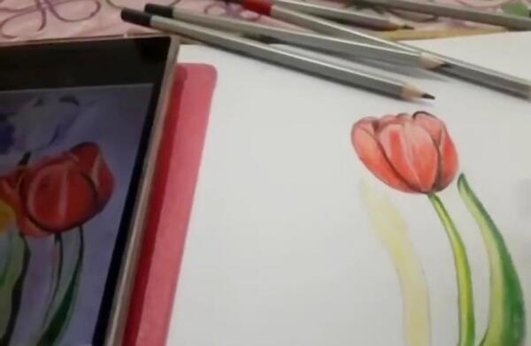 عکس نقاشی گل لاله با مداد سیاه