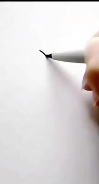 عکس نقاشی گل لاله با مداد سیاه