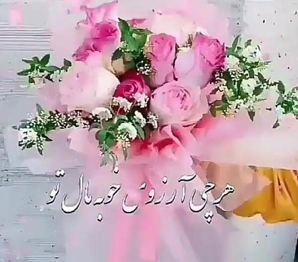 عکس گلی رز