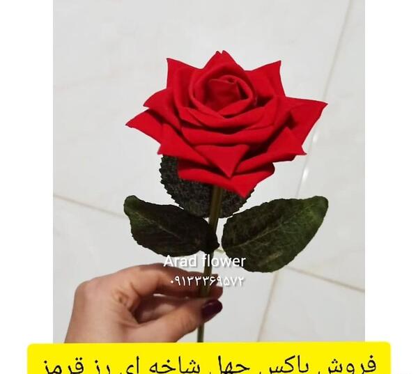 عکس گلی رز