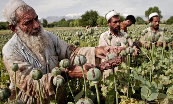 عکس پول تریاک