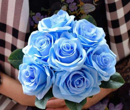 عکس گل رز آبی برای پروفایل واتساپ