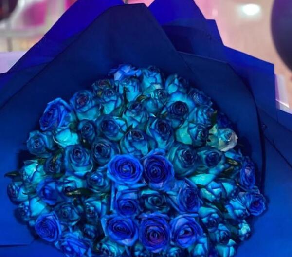 عکس گل رز آبی برای پروفایل واتساپ