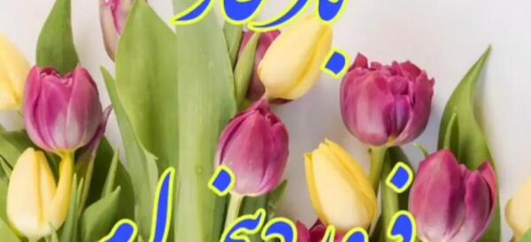 عکس تبریک تولد خودم فروردین ماهی