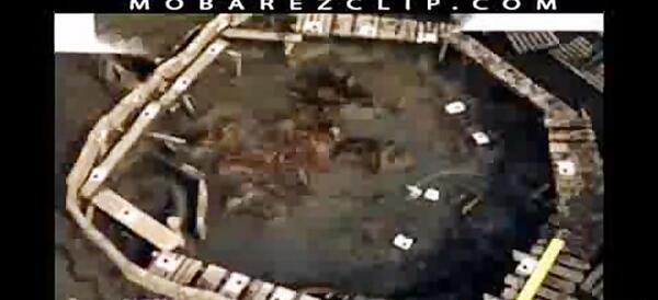 عکس اسکلت های کشف شده
