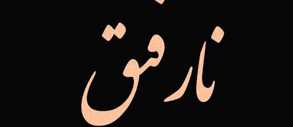 عکس درباره نارفیق