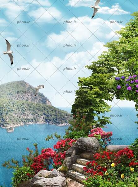 عکس از طبیعت رنگارنگ