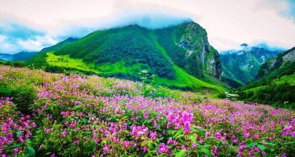 عکس از طبیعت رنگارنگ