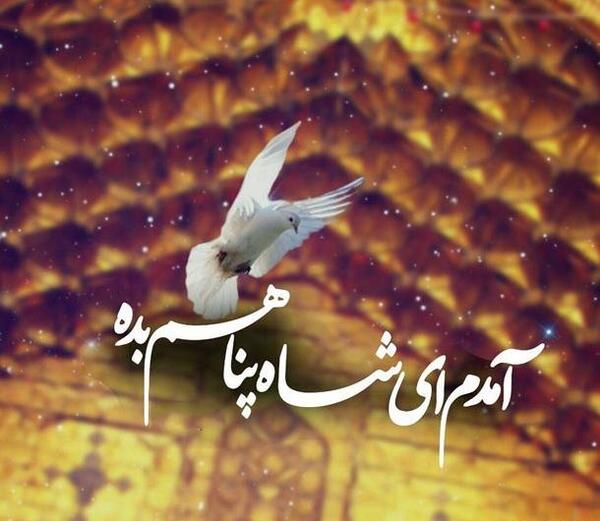 عکسهای حرم امام رضا پروفایل