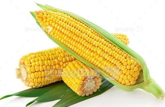 عکس فقیر ثروتمند