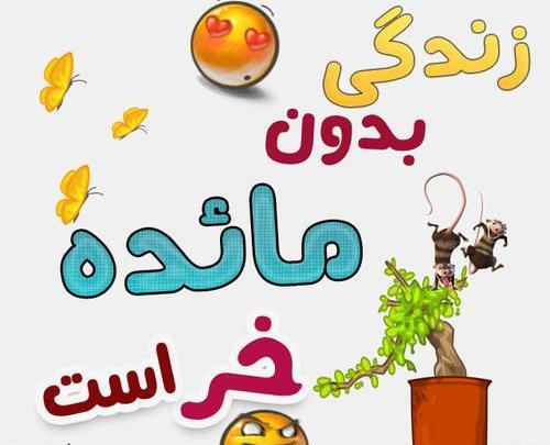 عکس نوشته ی مائده جدید