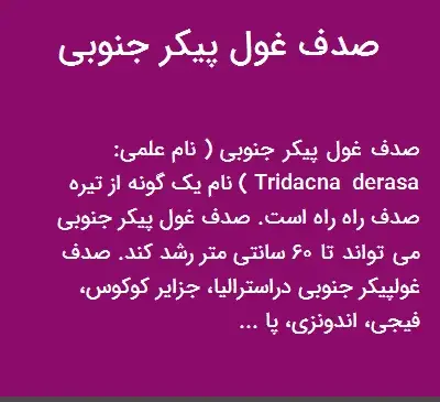 عکس صدف غول پیکر