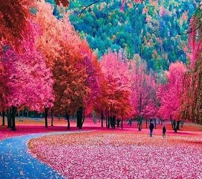 عکس منظره زیبا طبیعی
