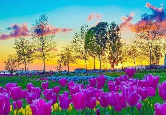 عکس منظره زیبا طبیعی