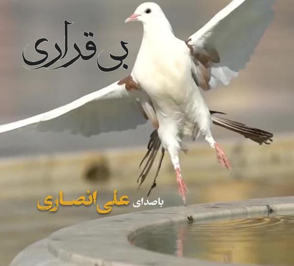 عکس خنده علی انصاریان