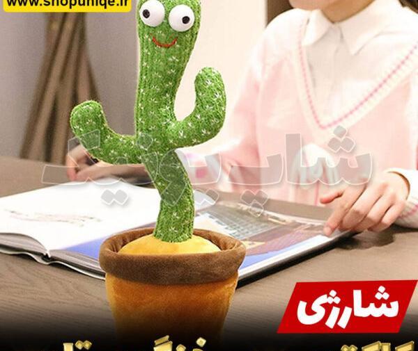 عکس عروسک کاکتوس