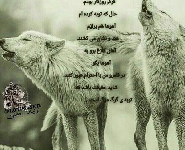 عکس غار گرگ