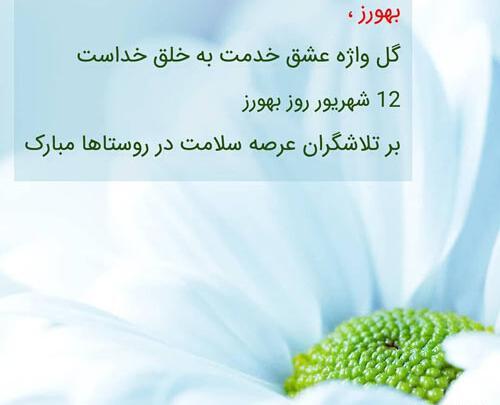 عکس روز بهورز مبارک